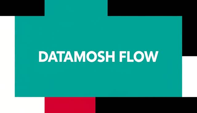 60 DATAMOSH FLOW：prijelaz u stilu datamosha